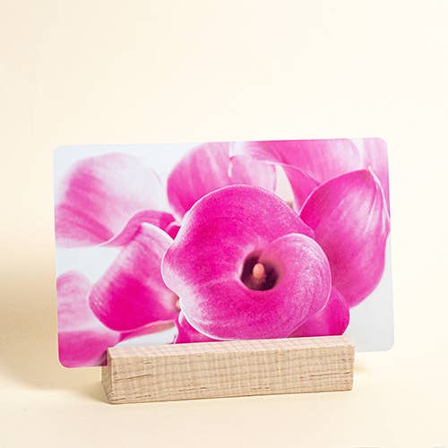 Botanical Meditations: mindfulness cards