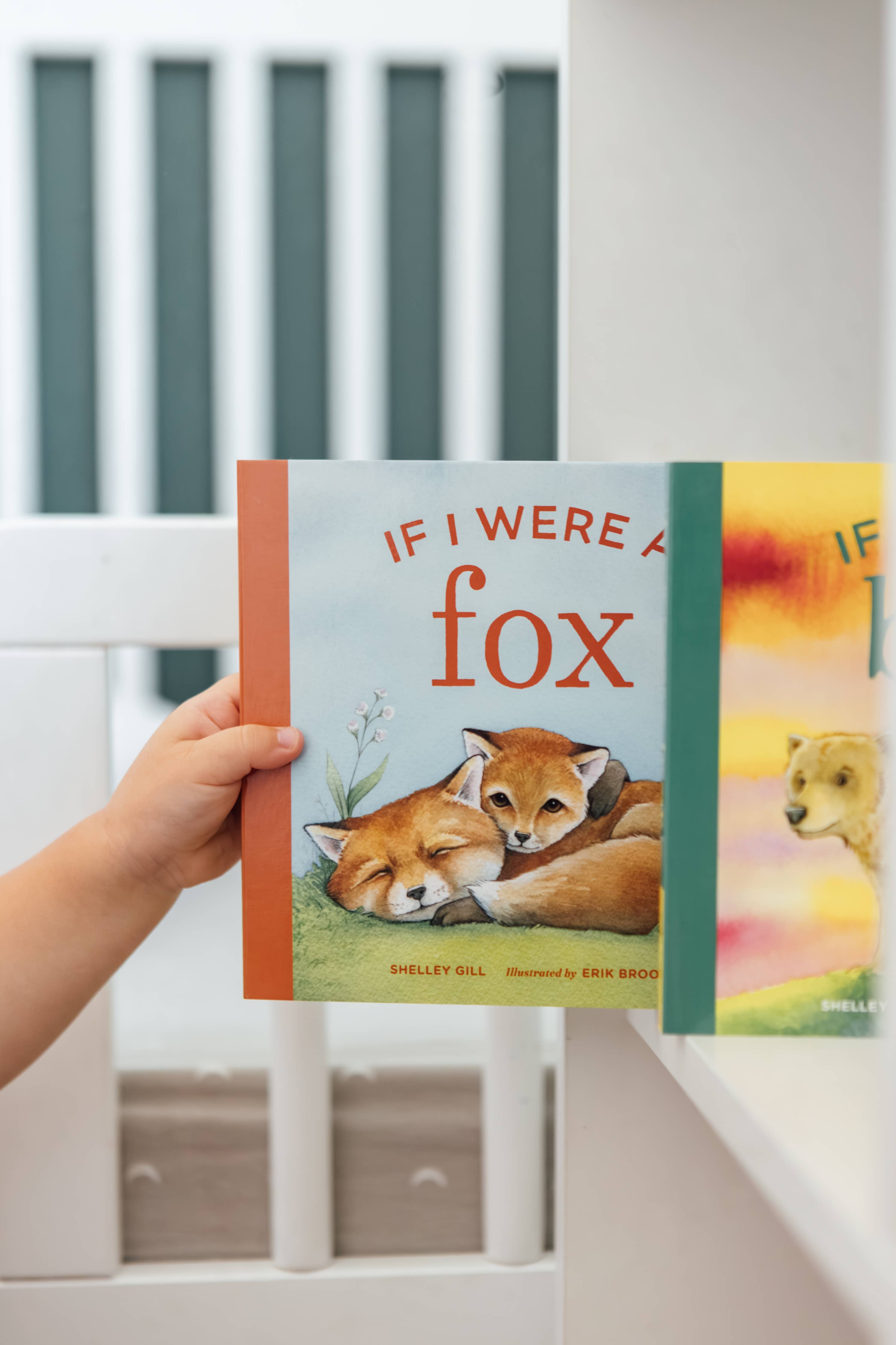 If I Were a Fox: A Board Book for Toddlers