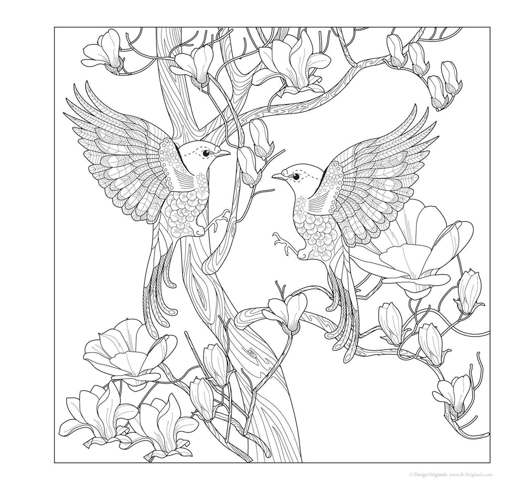 Serenity Garden Coloring Book -Scenes of Tranquility & Peace