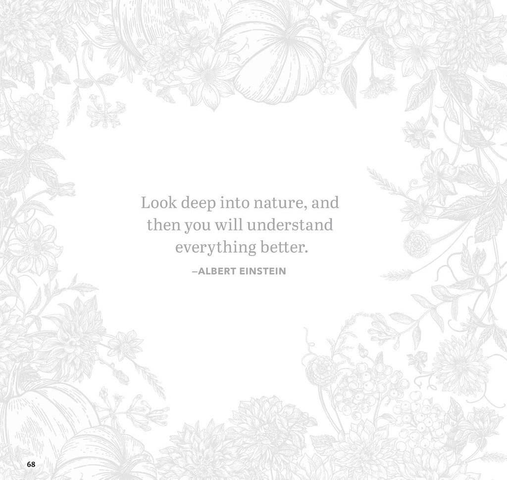 Serenity Garden Coloring Book -Scenes of Tranquility & Peace