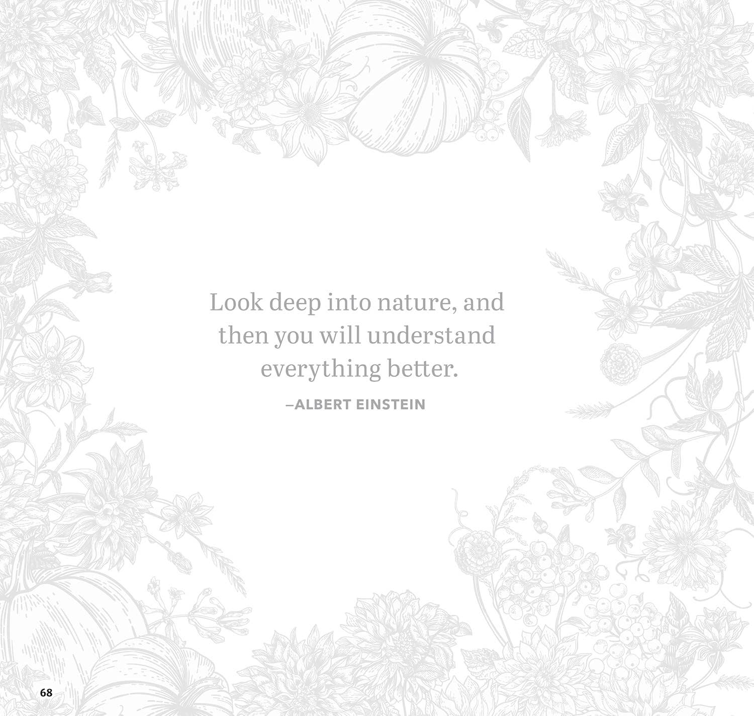 Serenity Garden Coloring Book -Scenes of Tranquility & Peace