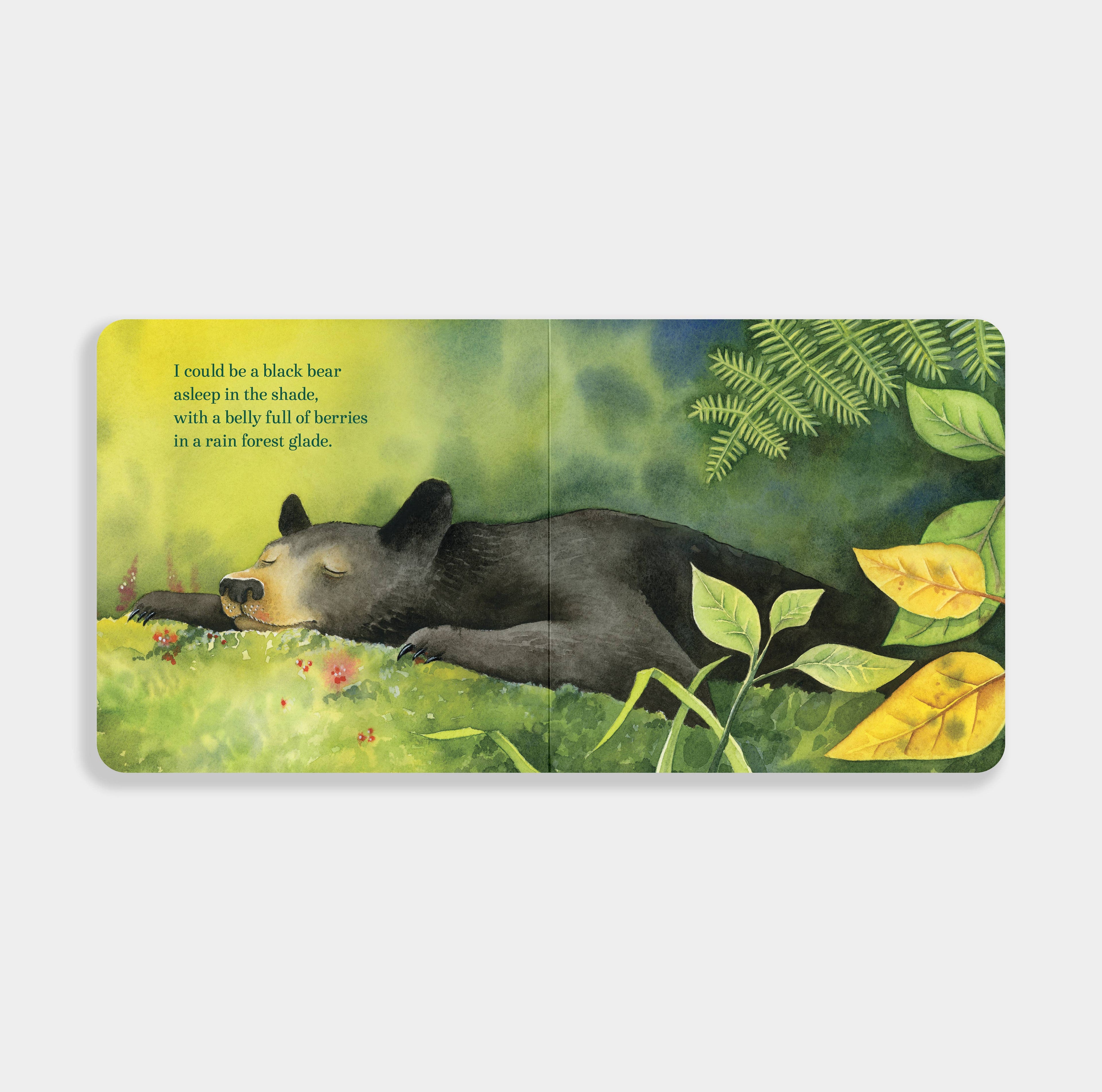 If I Were a Bear: A Board Book for Toddlers
