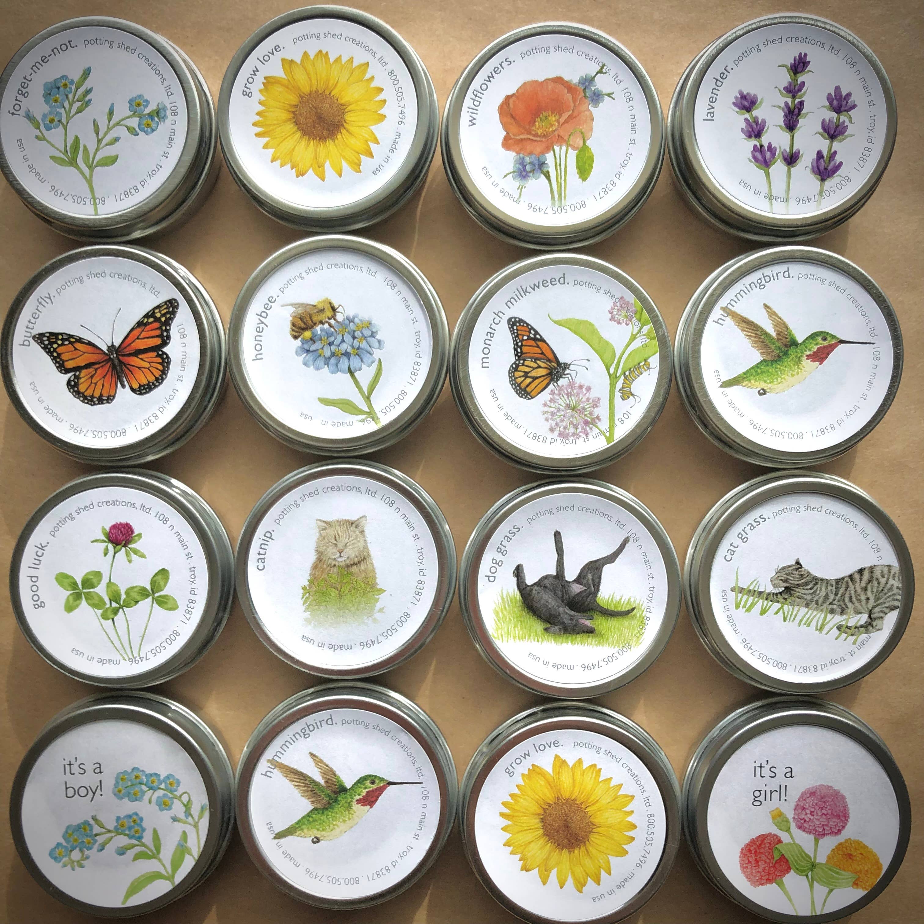 Garden Sprinkles Wildflowers | Best Seller | Spring flowers