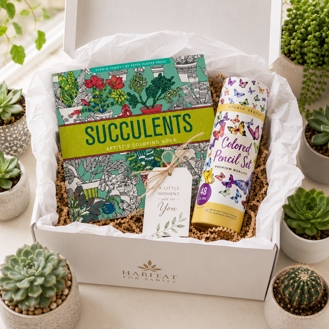 Succulent Escape