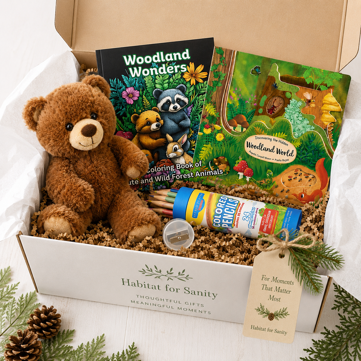 A Woodland Adventure
