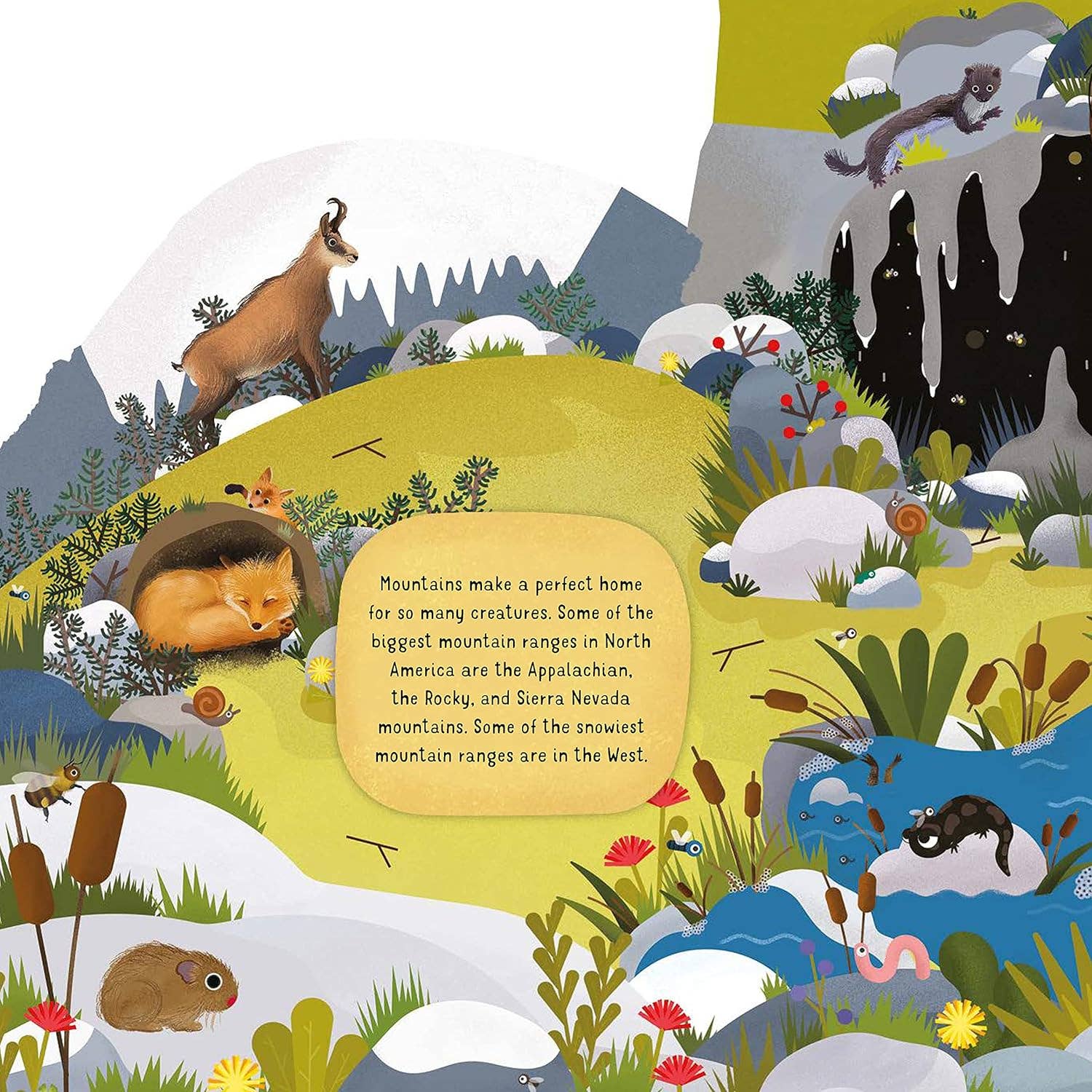 Discovering Nature on the Mountainside - Kid's Picture Book