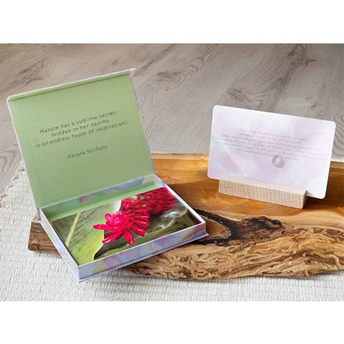 Botanical Meditations: mindfulness cards