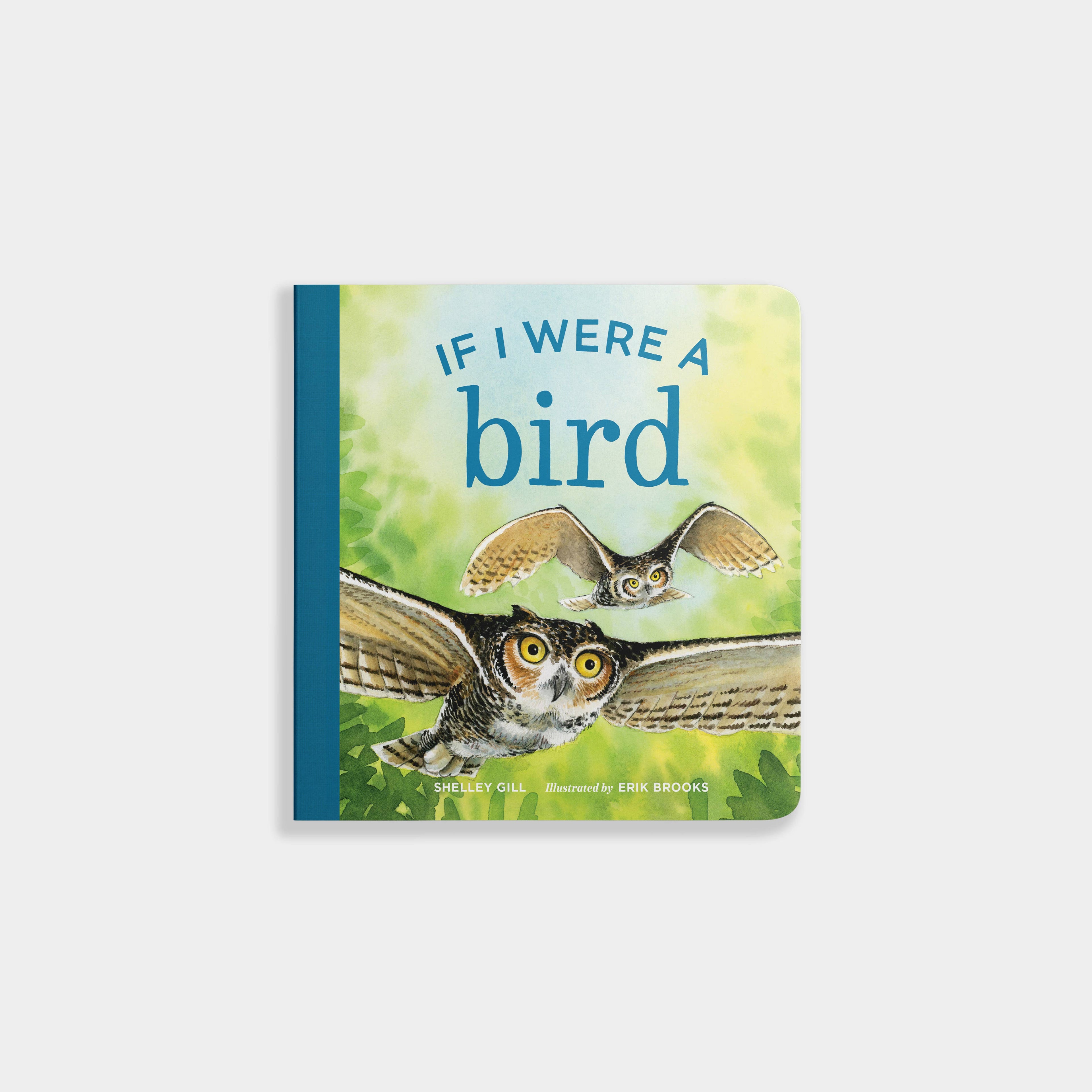 If I Were a Bird: A Board Book for Toddlers